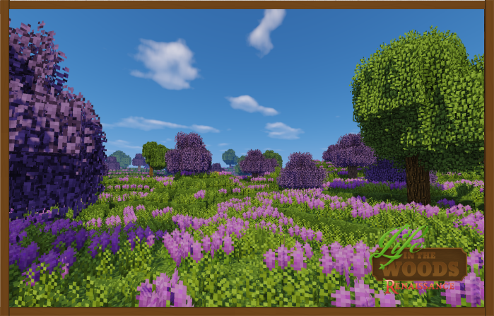 Life_in_the_woods_lavender_fields_large.png